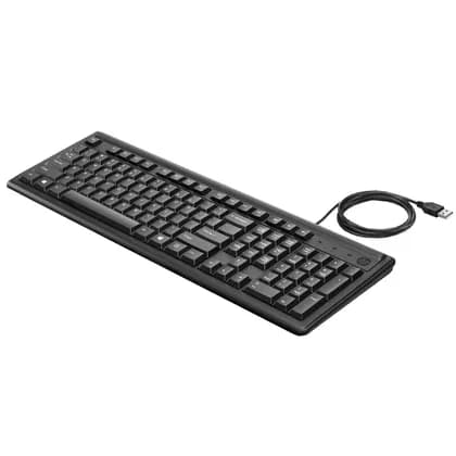 Проводоная клавиатура HP Keyboard 100 RUSS (2UN30AA)