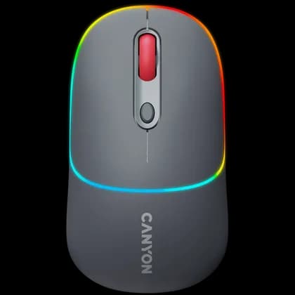 CANYON mouse MW-22 2in1 BT/ Wireless Dark Grey