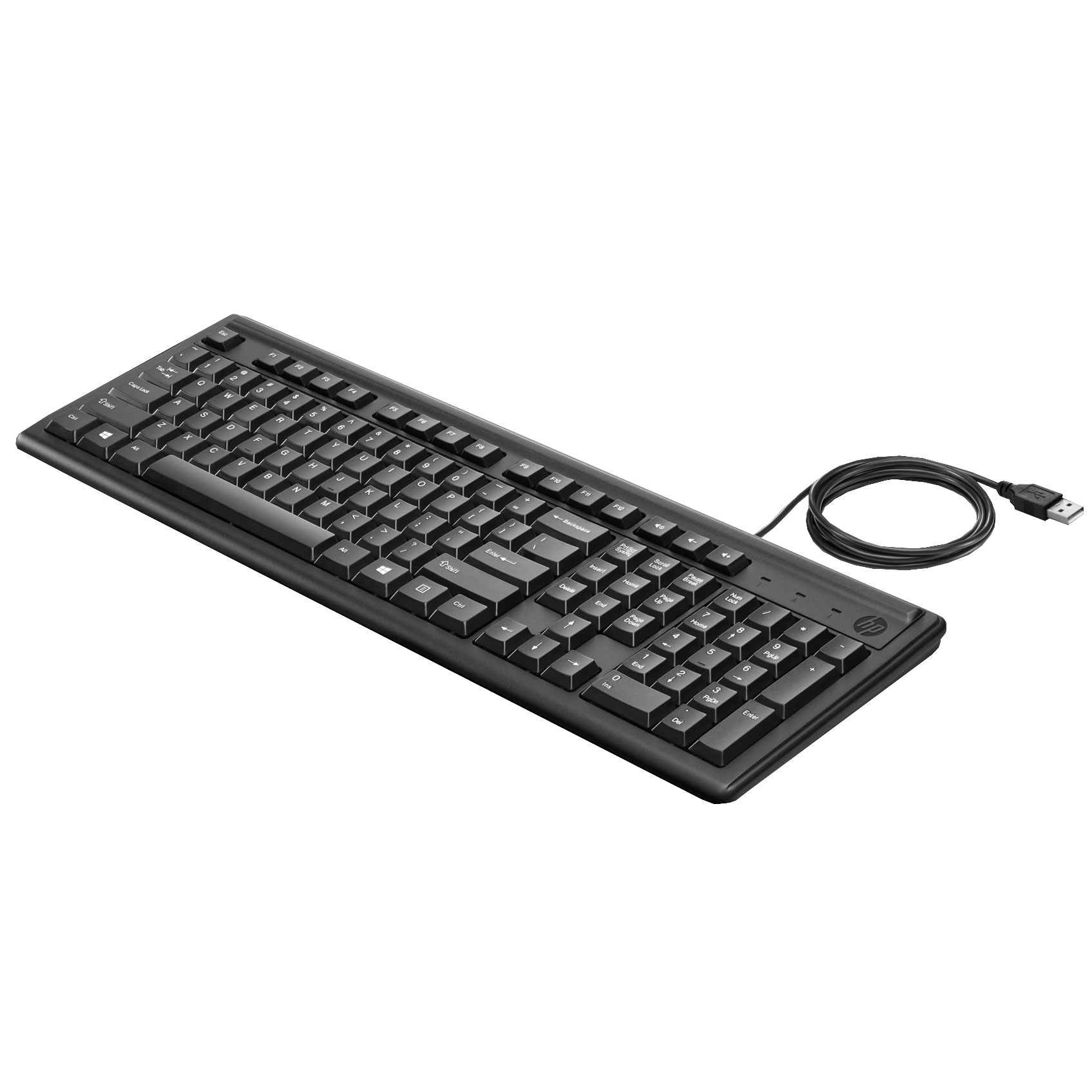 Проводоная клавиатура HP Keyboard 100 RUSS (2UN30AA)