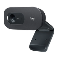 Веб-камера Logitech C505e HD Webcam