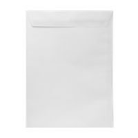 Пакет конверт С4(229*324) 100гр 25шт