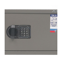 Офисный сейф TM 25 EL серии TM