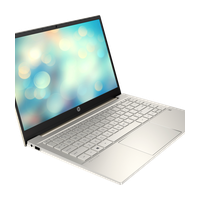 HP Pavilion 14-dv0074ur (837) (Intel Core I3-1125G4/ DDR4 8GB/ SSD 256GB/ 14" FHD / Intel UHD Graphics/ No DVD/ RU) Warm Gold (4H5J3EA)