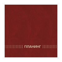 Планинг недат. (220*135мм, горизонт., 128стр.) 45640