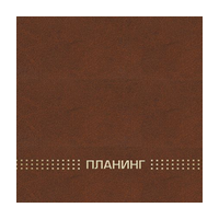 Планинг недат.  (220*135мм, горизонт., 128стр.) 45642