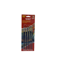 KN-006 Набор кистов PROFESSIONAL 2-4-6-8-10 5PCS