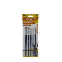 KN-008 Набор кистов PROFESSIONAL 1-2-3-4-5 5PCS