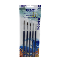 KN-009 Набор кистов PROFESSIONAL 1-2-3-4-5 5PCS